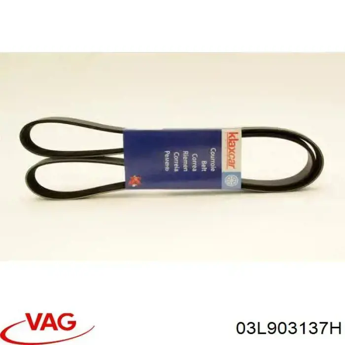 Do koszyka 03L903137H VAG Pas napędowy mechanizmów