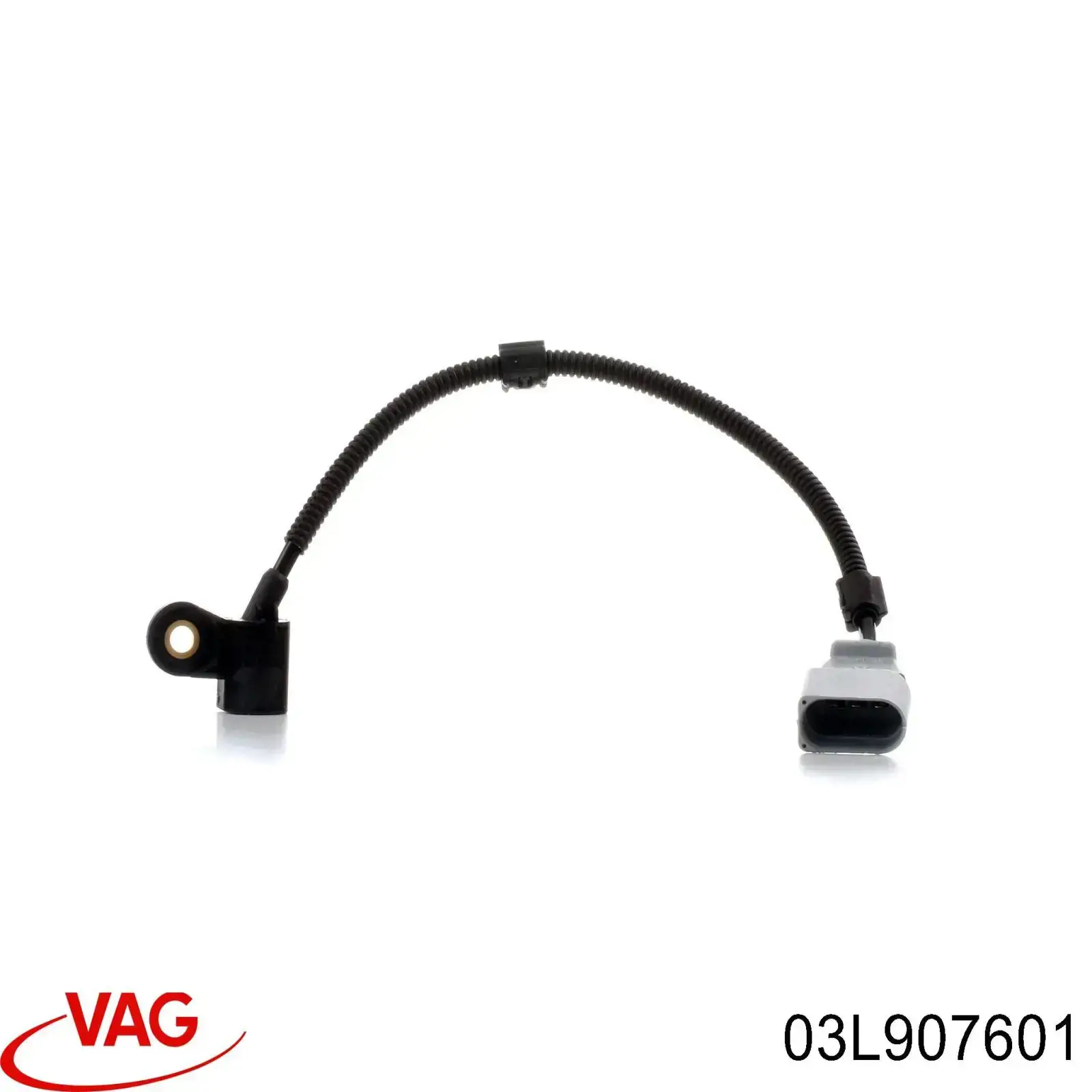 Czujnik położenia wałka rozrządu VAG 03L907601 cena, od 22,19 USD