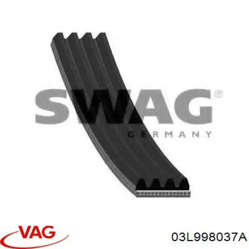 Do koszyka 03L998037A VAG Pas napędowy mechanizmów