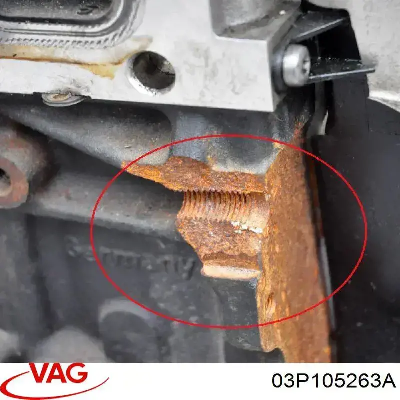 Do koszyka 03P105263A VAG Koło zębate walcowe napędu wałka rozrządu