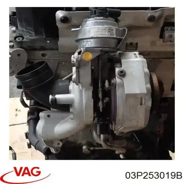 Do koszyka 03P253019B VAG Turbina