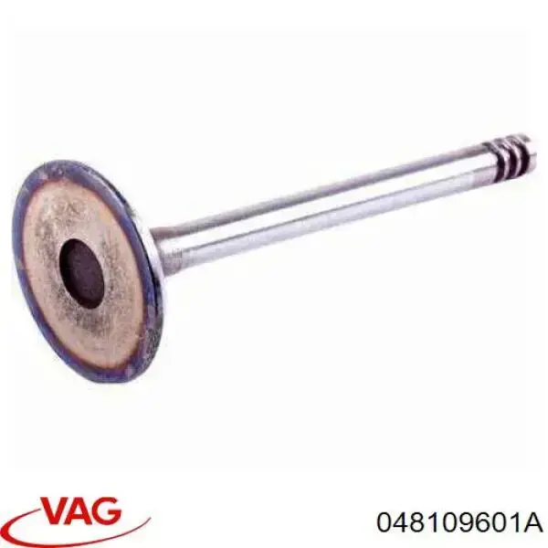Do koszyka 048109601A VAG Zawór dolotowy/ssący