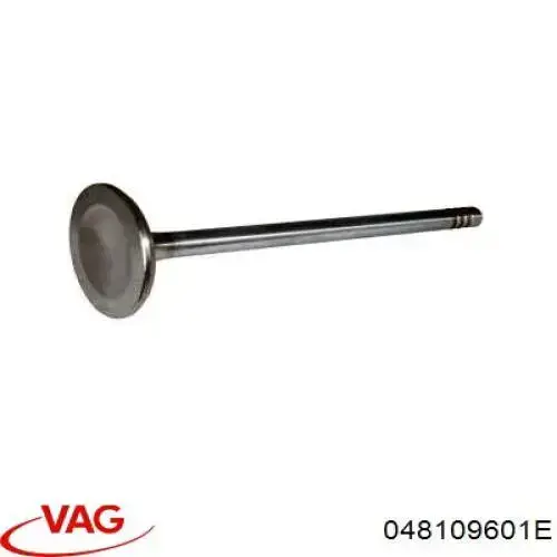 Do koszyka 048109601E VAG Zawór dolotowy/ssący