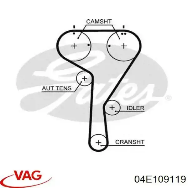 04E109119 VAG Pasek rozrządu