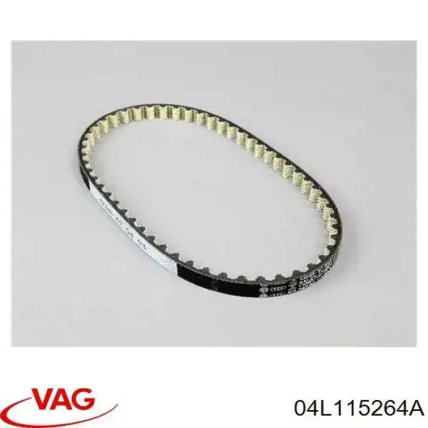 Do koszyka 04L115264A VAG Pasek pompy olejowej