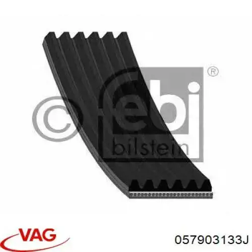 Do koszyka 057903133J VAG Napinacz paska napędowego