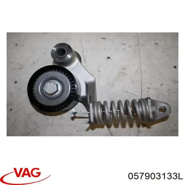 Do koszyka 057903133L VAG Napinacz paska napędowego
