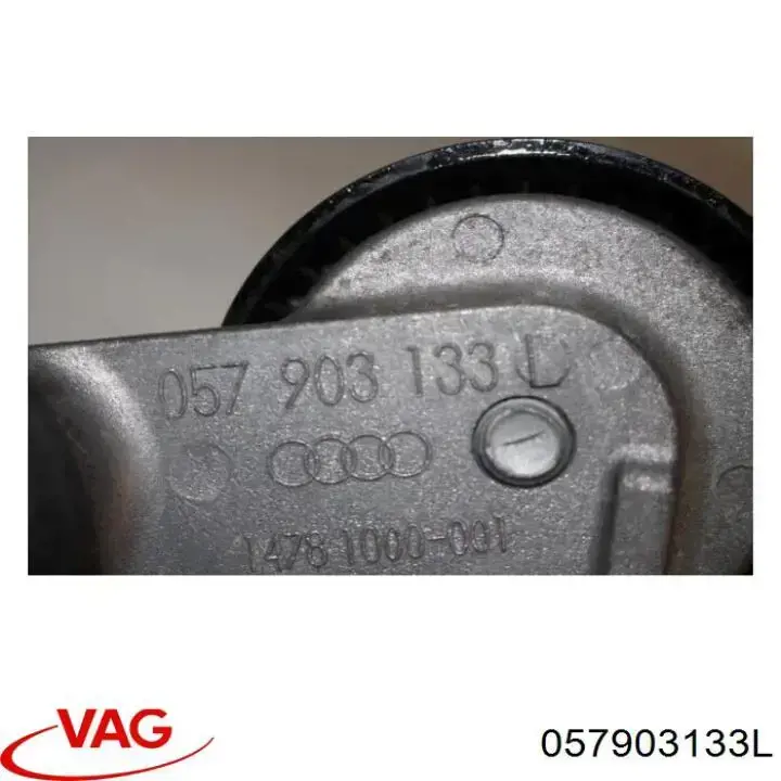 Do koszyka 057903133L VAG Napinacz paska napędowego