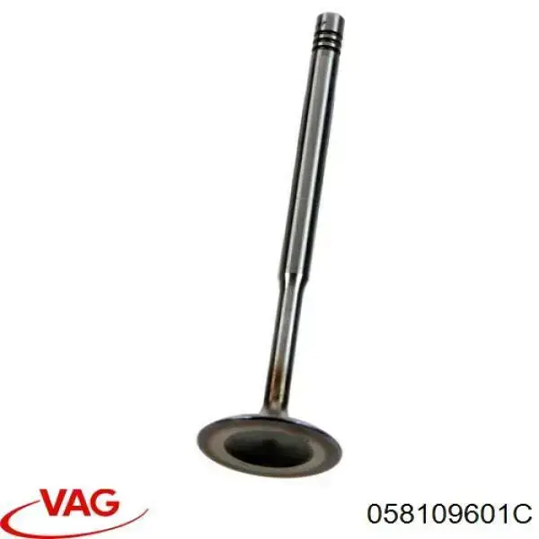 058109601C VAG Zawór dolotowy/ssący