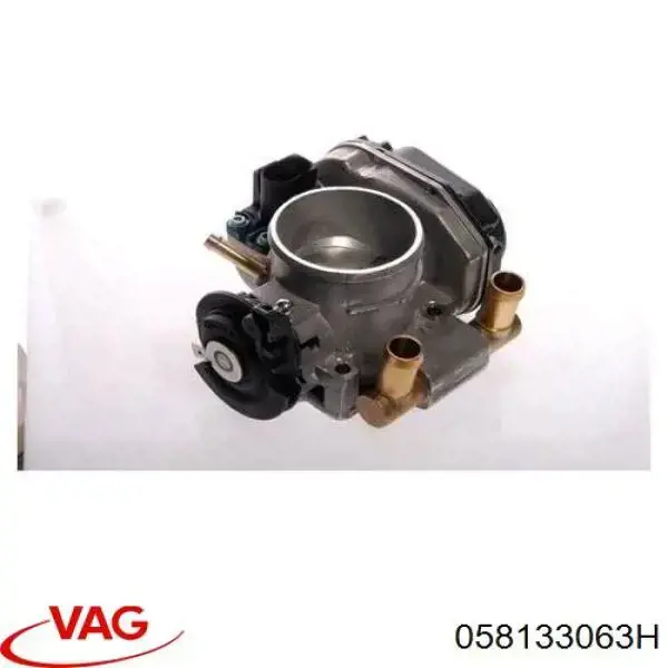 Do koszyka 058133063H VAG Przepustnica, komplet