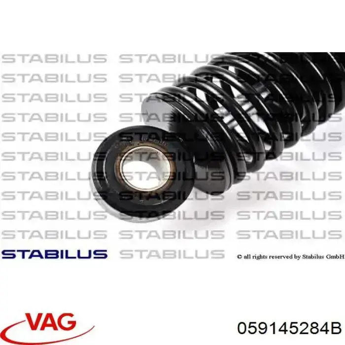 Amortyzator napinacza paska napędowego VAG 059145284B cena, od 110,68 USD