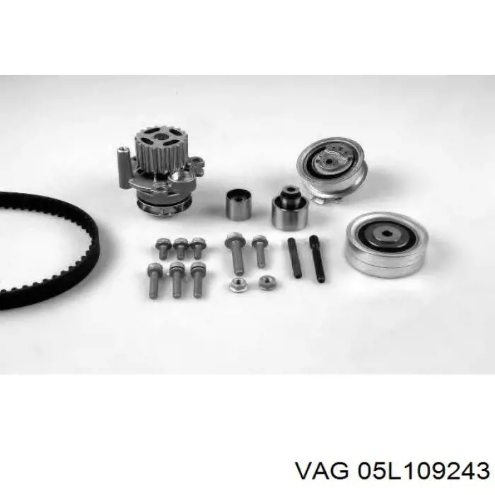  VAG 05L109243 cena, od 78,48 USD