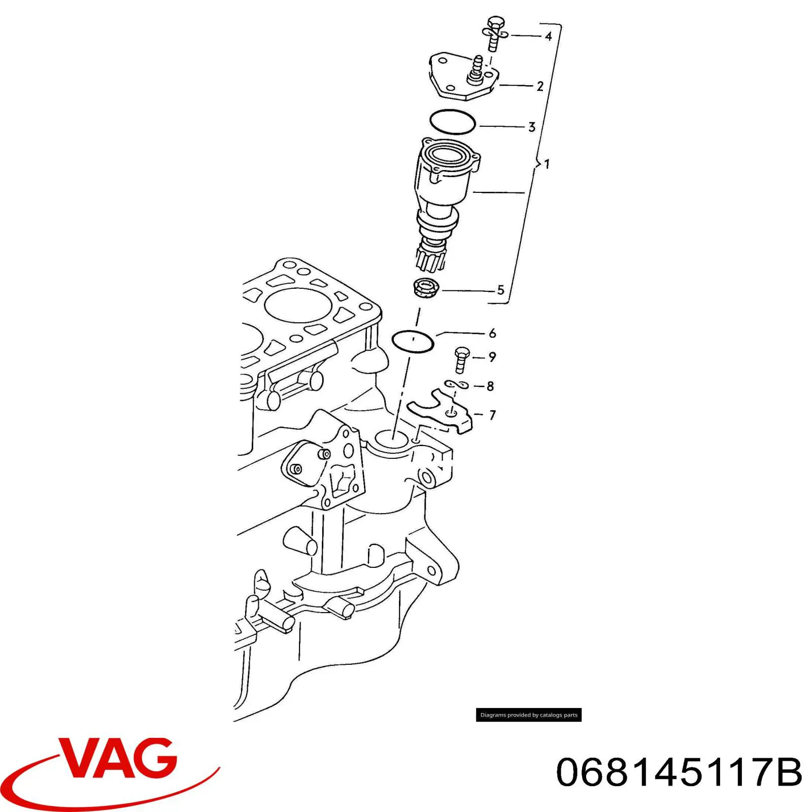 Uszczelniacz pompy próżniowej Audi A4 B5 (8D2)