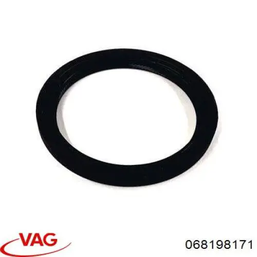 Uszczelniacz wału korbowego silnika tylny 068198171 VAG