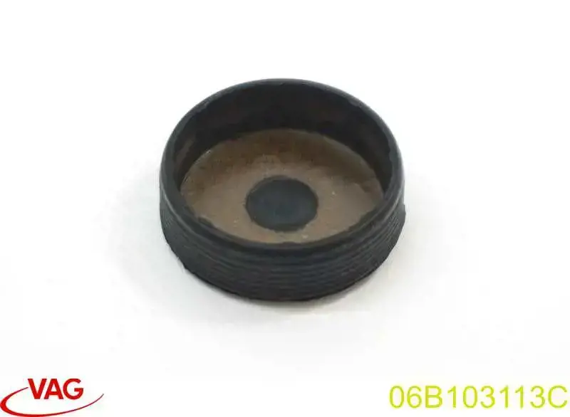 Do koszyka 06E103113A VAG Zaślepka głowicy cylindrów/bloku cylindrów