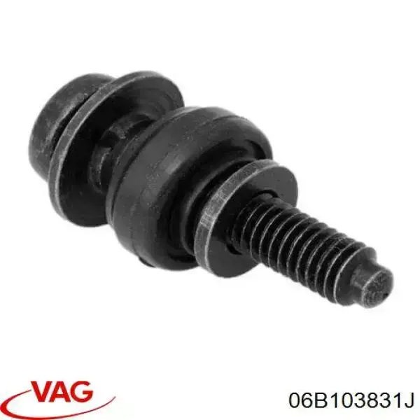 Śruba pokrywy zaworów głowicy cylindrów VAG 06B103831F cena, od 3,04 USD
