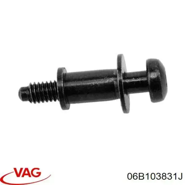 Do koszyka 06B103831F VAG Śruba pokrywy zaworów głowicy cylindrów
