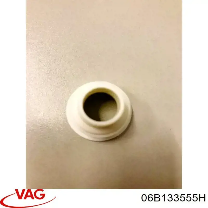 Do koszyka 06B133555H VAG Pierścień uszczelniający wtryskiwacza