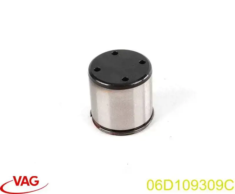 Popychacz pompy paliwa VAG 06D109309C cena, od 26,65 USD