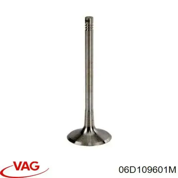 Zawór dolotowy/ssący VAG 06D109601M cena, od 10,08 USD