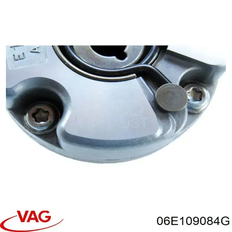 Koło zębate walcowe wałka rozrządu wydechowego VAG 06E109084G cena, od 169,99 USD