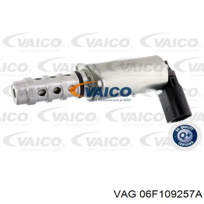 Do koszyka 06F109257A VAG Zawór elektromagnetyczny faz rozrządu