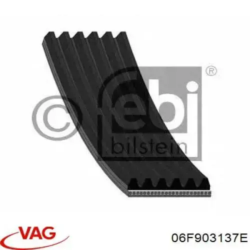 Do koszyka 06F903137E VAG Pas napędowy mechanizmów