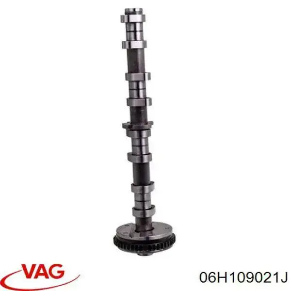 Wał rozrządu silnika ssący, dolotowy AND 41109005 cena, od 360,07 USD