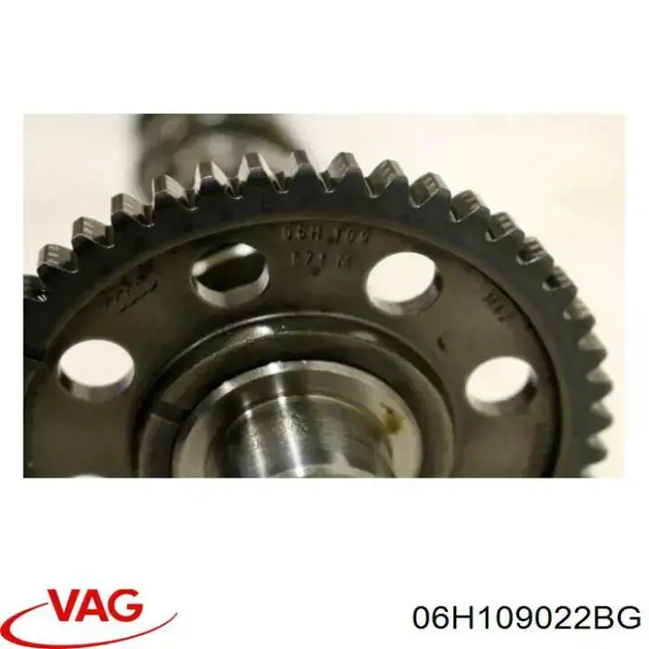 Wał rozrządu silnika wylotowy, wydechowy VAG 06H109022BG cena, od 549,79 USD