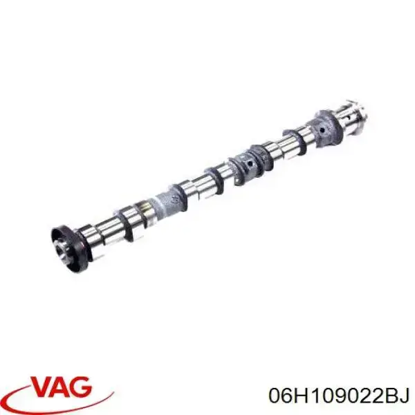 Wał rozrządu silnika wylotowy, wydechowy VAG 06H109022BJ cena, od 550,68 USD