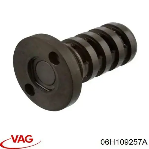 Hydrauliczna śruba faz rozrządu VAG 06H109257A cena, od 28,97 USD