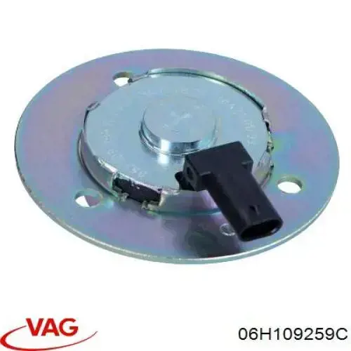 Do koszyka 06H109259C VAG Zawór elektromagnetyczny faz rozrządu