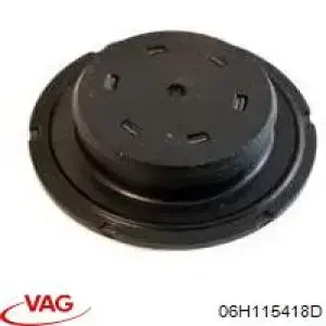 Zaślepka głowicy cylindrów/bloku cylindrów VAG 06H115418D cena, od 6,47 USD