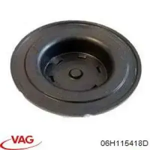 Do koszyka 06H115418D VAG Zaślepka głowicy cylindrów/bloku cylindrów