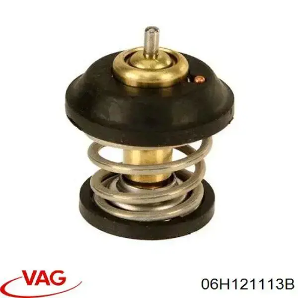 06H121113B VAG Termostat