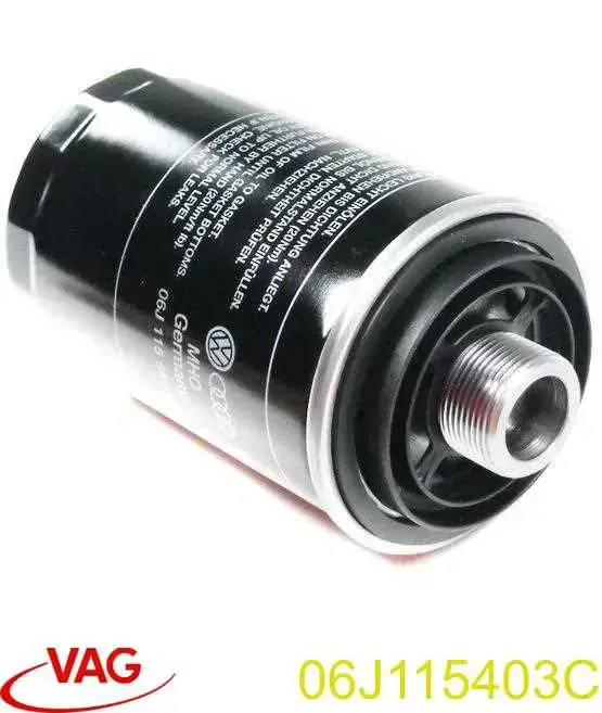 06J115403C VAG Filtr oleju