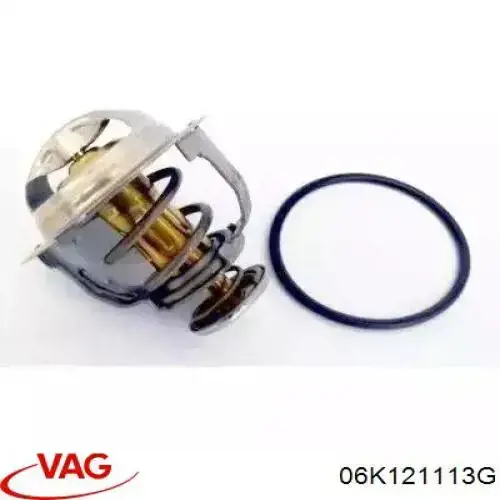 06K121113G VAG Termostat