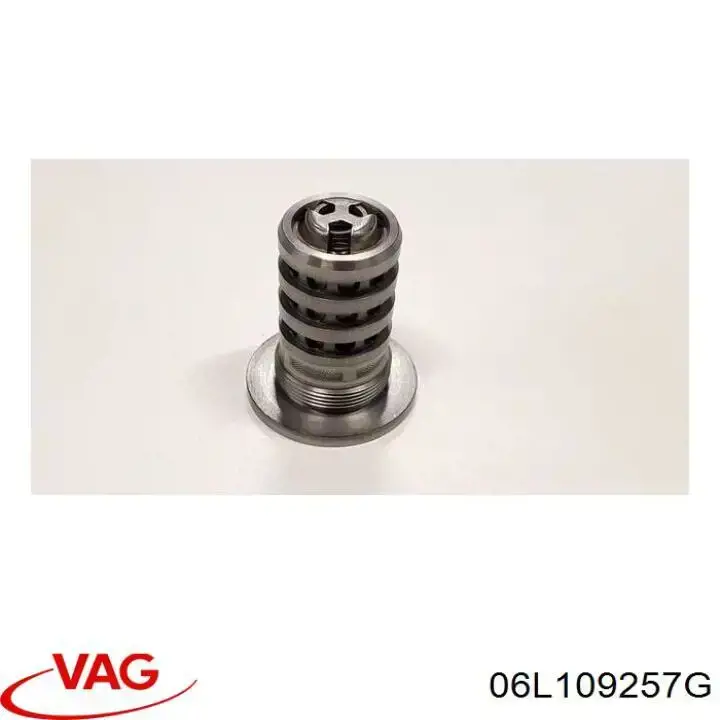 Zawór elektromagnetyczny faz rozrządu VAG 06L109257G cena, od 49,60 USD