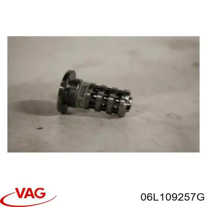Do koszyka 06L109257G VAG Zawór elektromagnetyczny faz rozrządu