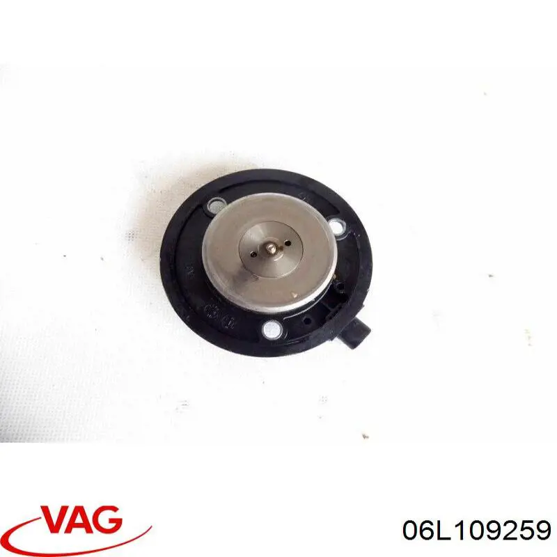 Zawór elektromagnetyczny faz rozrządu VAG 06L109259