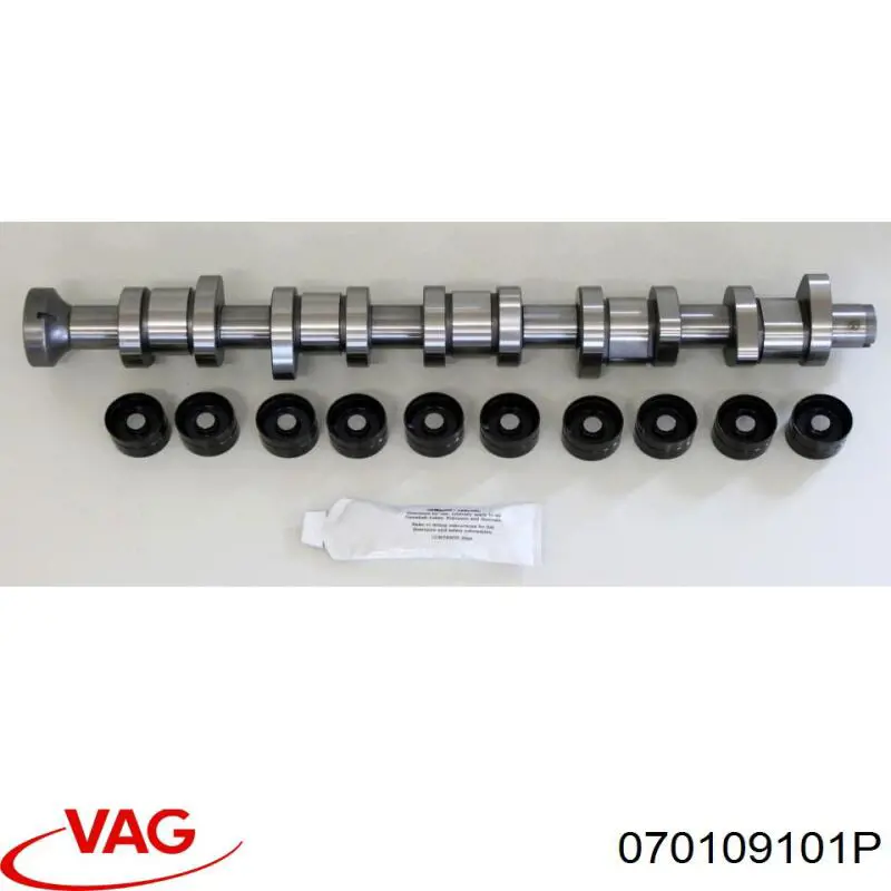 Wał rozrządu silnika 070109101P VAG