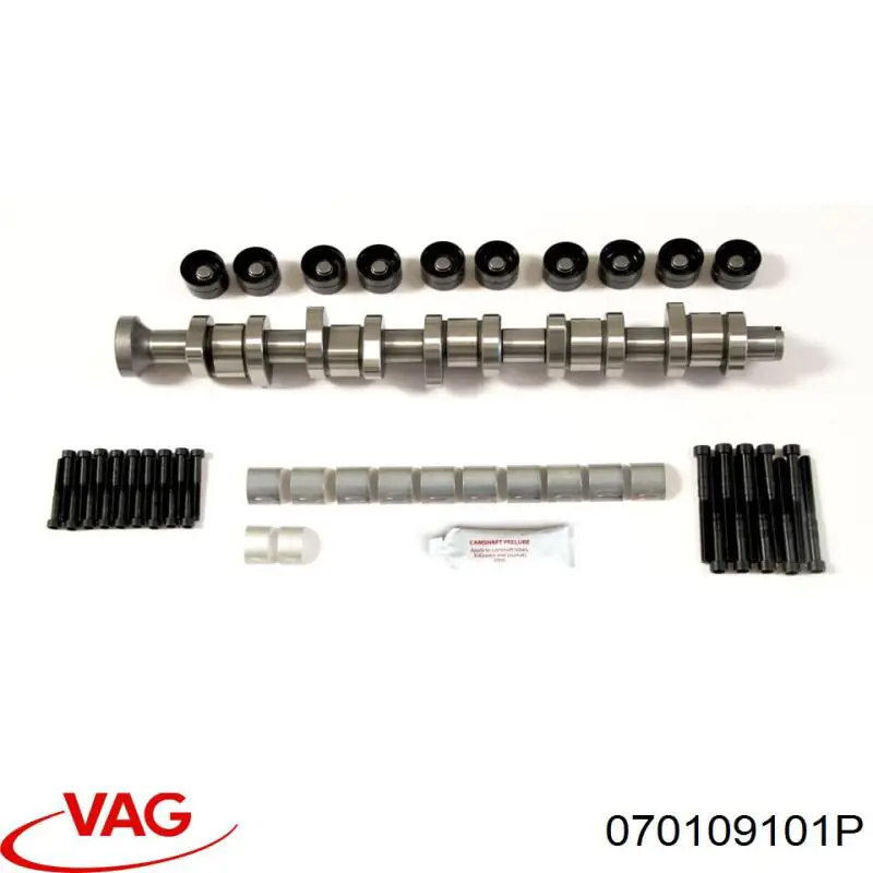 070109101P VAG Wał rozrządu silnika