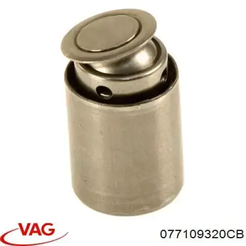 Do koszyka 077109320CB VAG Kompensator hydrauliczny (popychacz hydrauliczny), popychacz zaworu