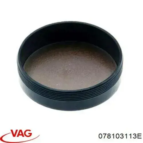 078103113E VAG Zaślepka głowicy cylindrów/bloku cylindrów