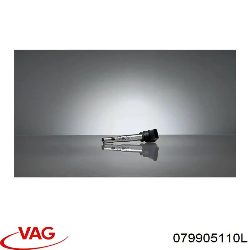 Cewka zapłonowa VAG 079905110L cena, od 34,75 USD