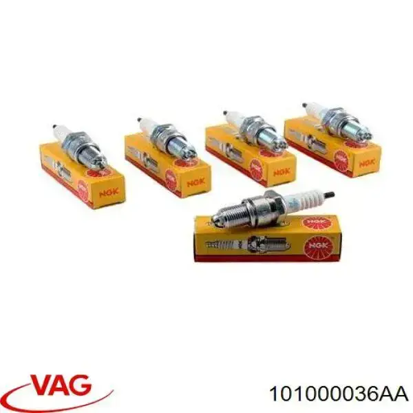 Świeca zapłonowa 101000036AA VAG