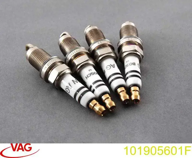 101905601F VAG Świeca zapłonowa