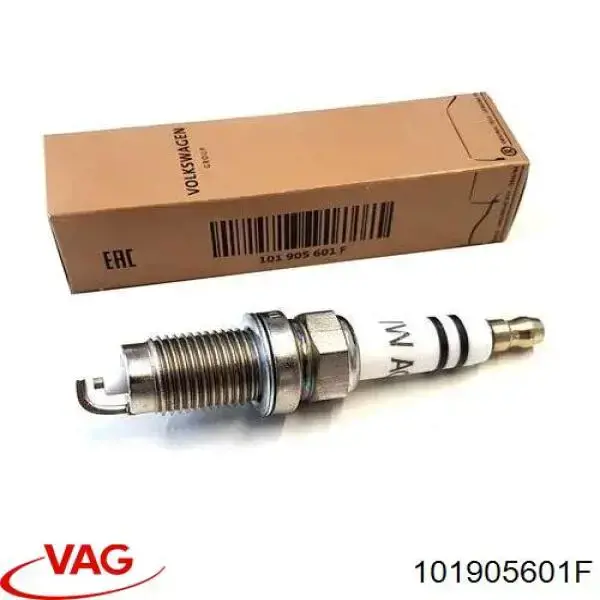 Do koszyka 101905601F VAG Świeca zapłonowa