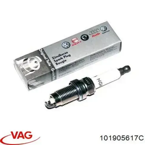 Do koszyka 101905617C VAG Świeca zapłonowa