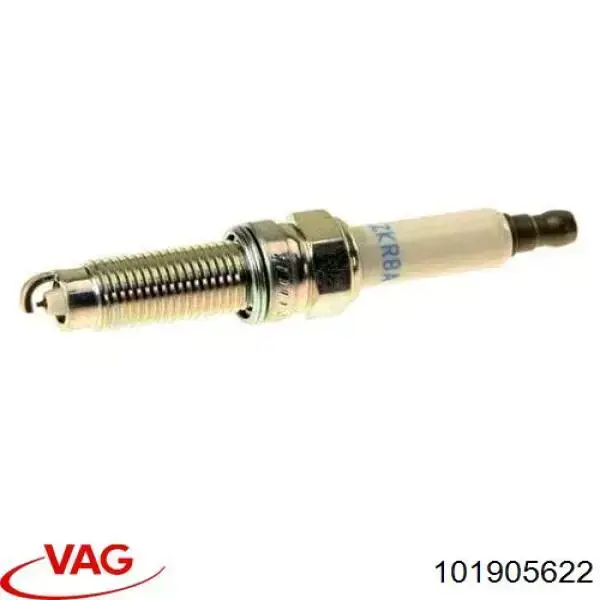 Do koszyka 101905622 VAG Świeca zapłonowa